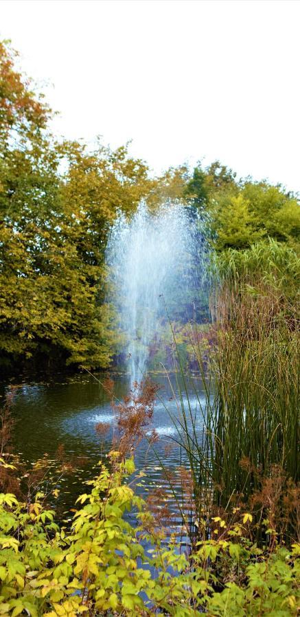 Villa Maria Garden Cottages, Helsingborg Bagian luar foto