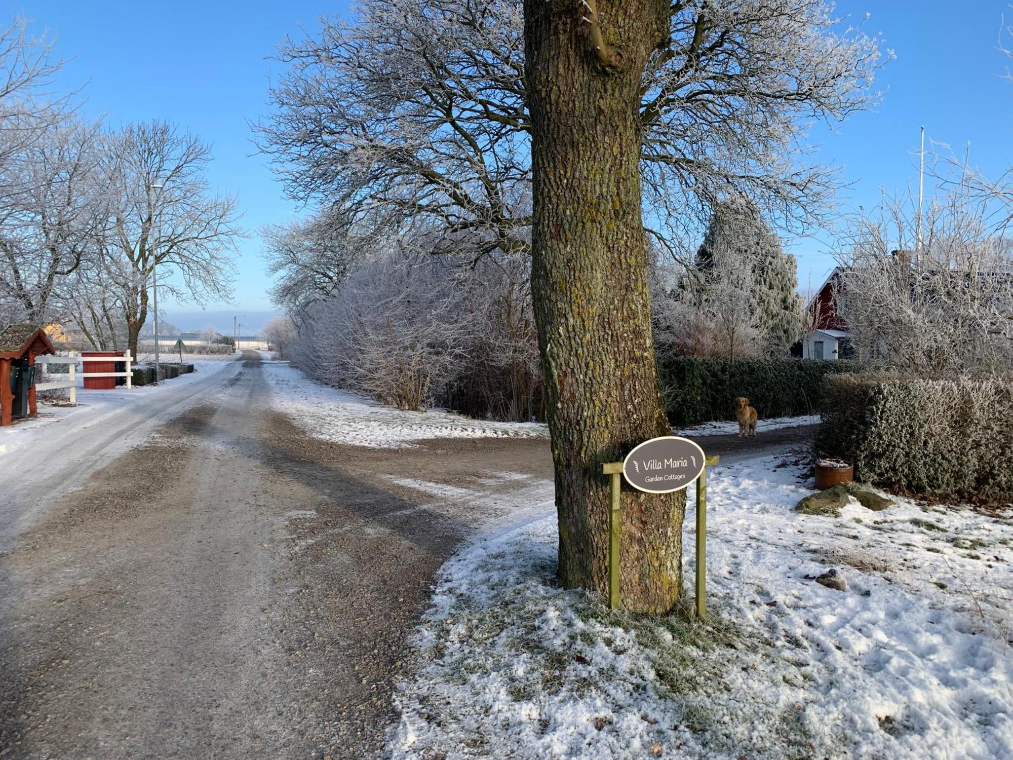 Villa Maria Garden Cottages, Helsingborg Bagian luar foto